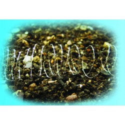 MILITARY THREAD WIRE 1/35 SCALE ART. 35003